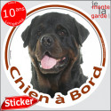 Rottweiler, sticker voiture "Chien à Bord" 14 cm