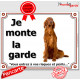 Setter Irlandais, Pancarte portail "Je monte la garde, risques périls" plaque panneau rouge marron assis attention au chien