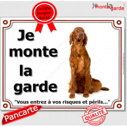 Setter Irlandais, Pancarte portail "Je monte la garde, risques périls" plaque panneau rouge marron assis attention au chien