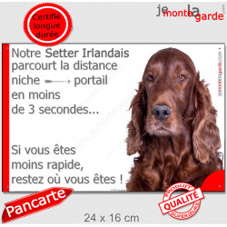 Setter Irlandais pancarte humour "parcourt la distance niche portail moins de 3 secondes, rapide" pancarte photo drôle