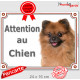 Spitz Fauve Tête, plaque portail "Attention au Chien" panneau affiche pancarte photo loulou poméramie marron orange