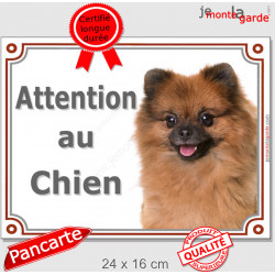 Spitz Fauve Tête, plaque portail "Attention au Chien" panneau affiche pancarte photo loulou poméramie marron orange