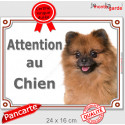 Spitz Fauve, plaque "Attention au Chien" 24 cm LUXE C