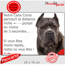 Cane Corso gris, plaque humour "distance Niche - Portail 3 secondes" 24 cm