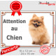 Spitz Fauve Assis, plaque Portail "Attention au Chien" panneau affiche photo Loulou Poméranie nain roux orange