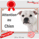 Staffie tout blan, plaque portail "Attention au Chien" pancarte entrée, panneau photo race, Staffordshire Bull Terrier