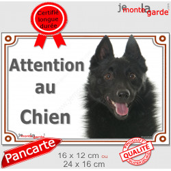 Schipperke Tête, Plaque portail "Attention au Chien" panneau affiche pancarte photo