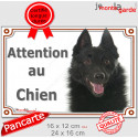 Schipperke, plaque portail "Attention au Chien" 2 tailles LUX D