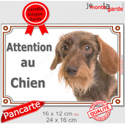 Teckel fauve poils durs Tête, plaque portail "Attention au Chien" pancarte panneau marron orange photo race