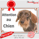 Teckel fauve poils durs, plaque portail "Attention au Chien" 2 tailles LUX D