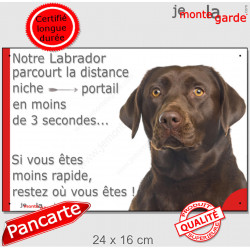 Labrador Chocolat, plaque humour "distance Niche - Portail 3 secondes" 24 cm 3SEC