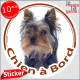 Yorkshire Terrier, sticker autocollant rond "Chien à Bord" disque photo York adhésif vitre voiture