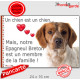 Epagneul Breton Orange, plaque "Chien Membre de la Famille" pancarte panneau coeur photo cadeau affiche