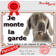 Braque de Weimar, plaque portail "Attention au Chien" pancarte panneau photo Weimaraner