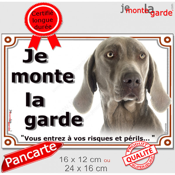 Braque de Weimar, plaque portail "Attention au Chien" pancarte panneau photo Weimaraner