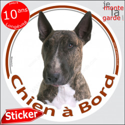 Bull Terrier bringé Tête, sticker autocollant rond "Chien à Bord" Disque photo adhésif vitre voiture bringué