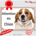 Beagle Fauve, plaque portail "Attention au Chien" 24 cm LUX