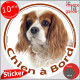 Cavalier King Charles Blenheim blanc et marron orange, sticker autocollant rond "Chien à Bord" Disque adhésif photo vitre voitur