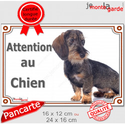 Teckel Poils Durs, plaque portail "Attention au Chien" 2 tailles D