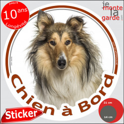 Colley fauve, sticker voiture rond "Chien à Bord" 2 tailles D