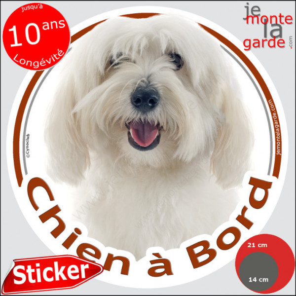 Coton de Tuléar tout blanc Tête, sticker autocollant rond "Chien à Bord" Disque adhésif vitre voiture photo