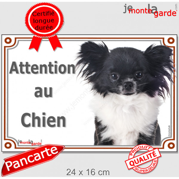 Chihuahua noir et blanc à poils longs, plaque portail "Attention au Chien" pancarte entrée, panneau photo race