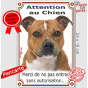 Staffie fauve, plaque portail verticale "Attention au Chien" 24 cm VL