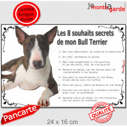 Bull Terrier bringé, plaque photo "Les 8 Souhaits Secrets" idée cadeau règles maison commandements