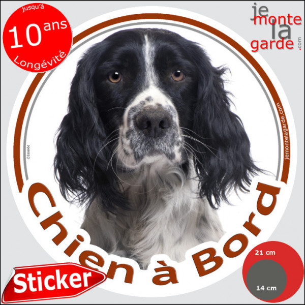 Springer Anglais Spaniel noir et blanc , sticker autocollant rond "Chien à Bord" Disque photo adhésif vitre voiture