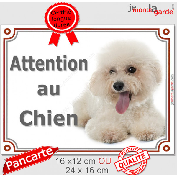 Bichon Frisé toiletté Couché, Plaque portail "Attention au Chien" panneau affiche pancarte photo race