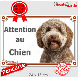 Lagotto Romagnolo Tête, plaque "Attention au Chien" pancarte panneau photo chien d'eau Romagole