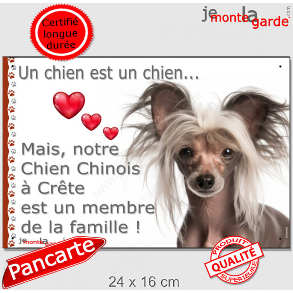 Chien Nu Chinois à Crête, plaque photo "Un chien est Membre de la Famille" photo panneau idée cadeau cadre pancarte affiche