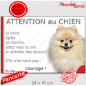 Spitz crème, plaque portail humour "Attention au Chien, Jetez Vous au Sol" 24 cm JET