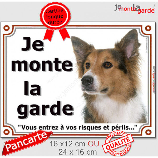 Border Collie tricolore Tête, plaque portail "Je Monte la Garde, risques et périls" pancarte, panneau 3 couleurs photo