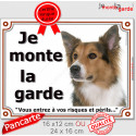 Border Collie tricolore, plaque portail "Je Monte la Garde" 2 tailles LUX D