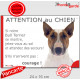 Bull Terrier fauve et blanc, plaque portail humour "Attention au Chien, Jetez Vous au Sol, secours, courage" photo drôle