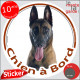 Berger Belge Malinois Tête, sticker autocollant rond "Chien à Bord" disque adhésif vitre voiture