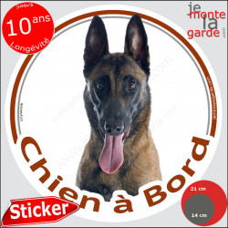 Berger Belge Malinois, sticker voiture rond photo "Chien à Bord" 2 tailles D