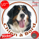 Bouvier Bernois, sticker autocollant rond "Chien à Bord" Disque adhésif photo vitre voiture