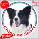 Border Collie noir et blanc poils longs, sticker rond "Chien de Sport" Disque intérieur ou Extérieur, autocollant agility photo