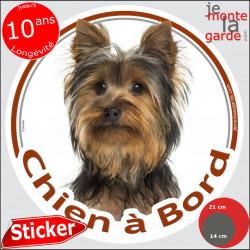 Yorkshire Terrier, sticker rond voiture "Chien à Bord" 2 tailles D