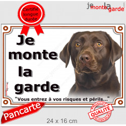 Labrador Chocolat Tête, Plaque portail "Je Monte la Garde, risques périls" panneau affiche pancarte photo marron brun