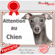 Petit Lévrier Italien gris bleu, plaque portail "Attention au Chien" pancarte panneau photo Levrette Italie