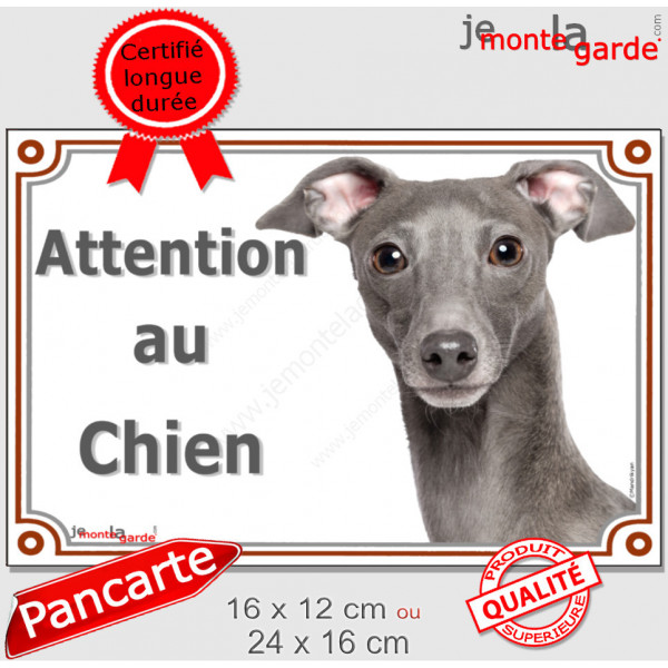 Petit Lévrier Italien gris bleu, plaque portail "Attention au Chien" pancarte panneau photo Levrette Italie