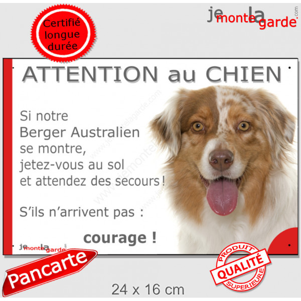 Aussie rouge merle, plaque portail humour "Jetez Vous au Sol, Attention au Chien" Berger Australien pancarte photo