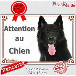 Groenendael, plaque portail "Attention au Chien" 2 tailles LUX D