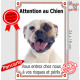 Bouledogue Américain fauve et blanc, Plaque Portail Verticale "Attention au Chien, risques périls" photo Boulam tricolore