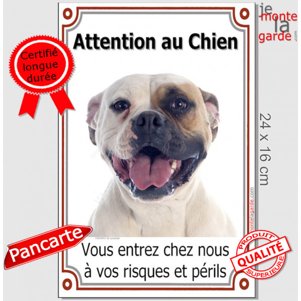 Bouledogue Américain fauve et blanc, Plaque Portail Verticale "Attention au Chien, risques périls" photo Boulam tricolore