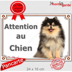 Spitz noir et feu, plaque portail "Attention au Chien" 24 cm LUX C