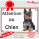 Yorkshire Terrier Assis, Plaque portail Attention au Chien ! panneau affiche pancarte York photo